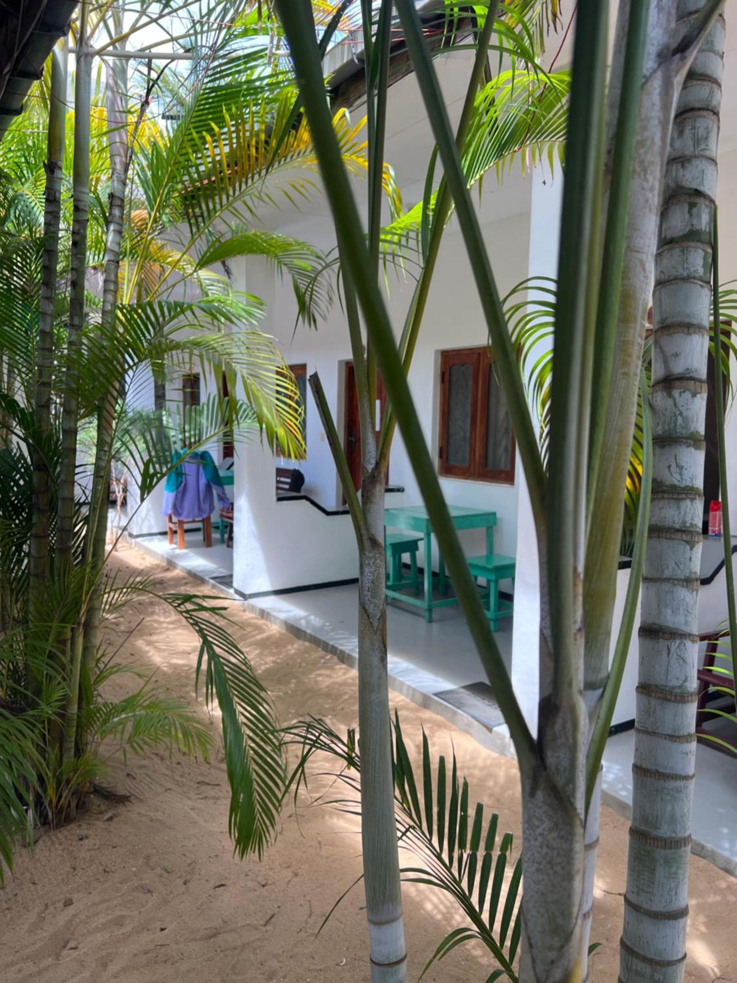 ホテル Moxy Bay Arugambay アルガムベイ エクステリア 写真
