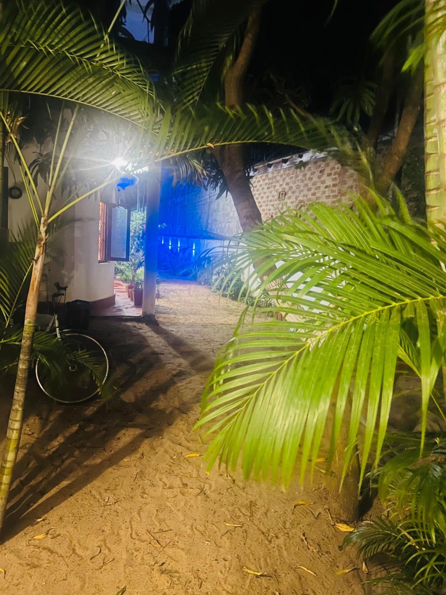 ホテル Moxy Bay Arugambay アルガムベイ エクステリア 写真