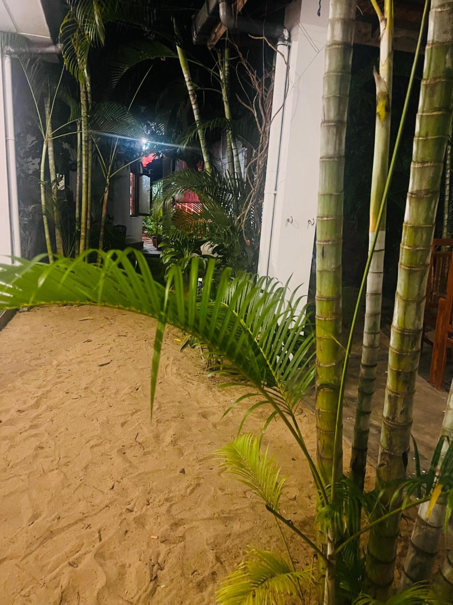 ホテル Moxy Bay Arugambay アルガムベイ エクステリア 写真