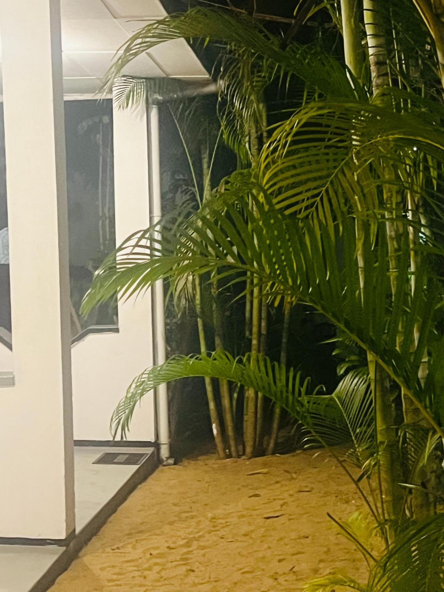 ホテル Moxy Bay Arugambay アルガムベイ エクステリア 写真