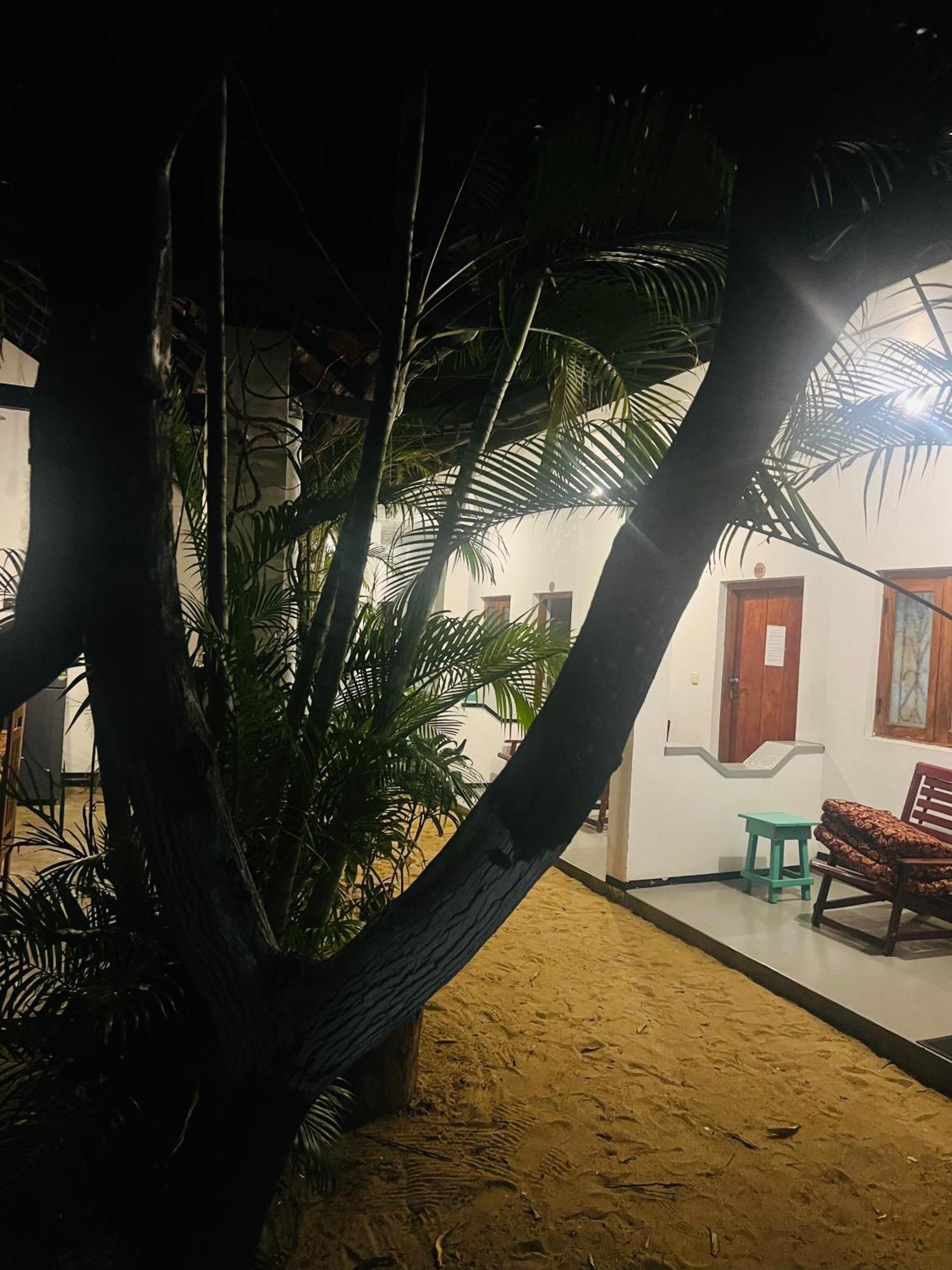 ホテル Moxy Bay Arugambay アルガムベイ エクステリア 写真